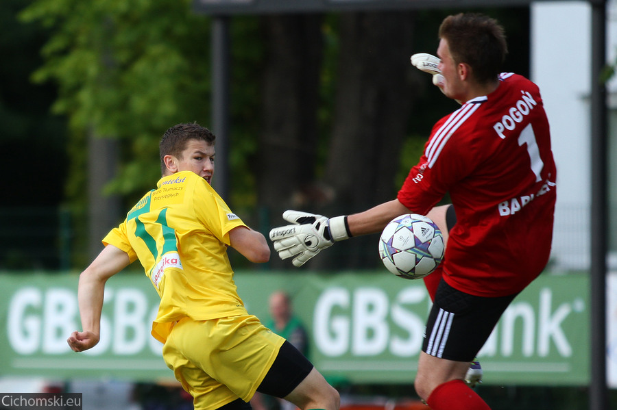 20130622_pogonb-chemik_02