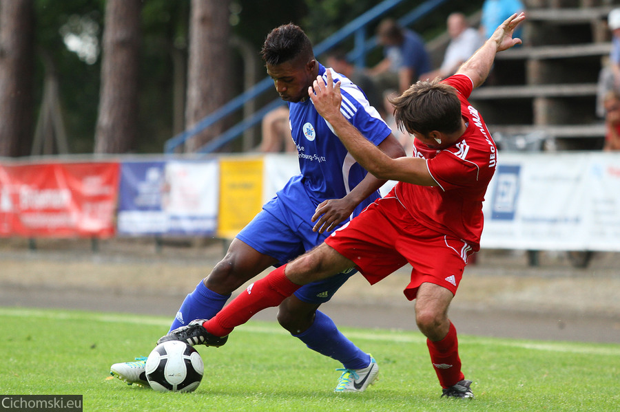 20130726_einheit-neustrelitz_19