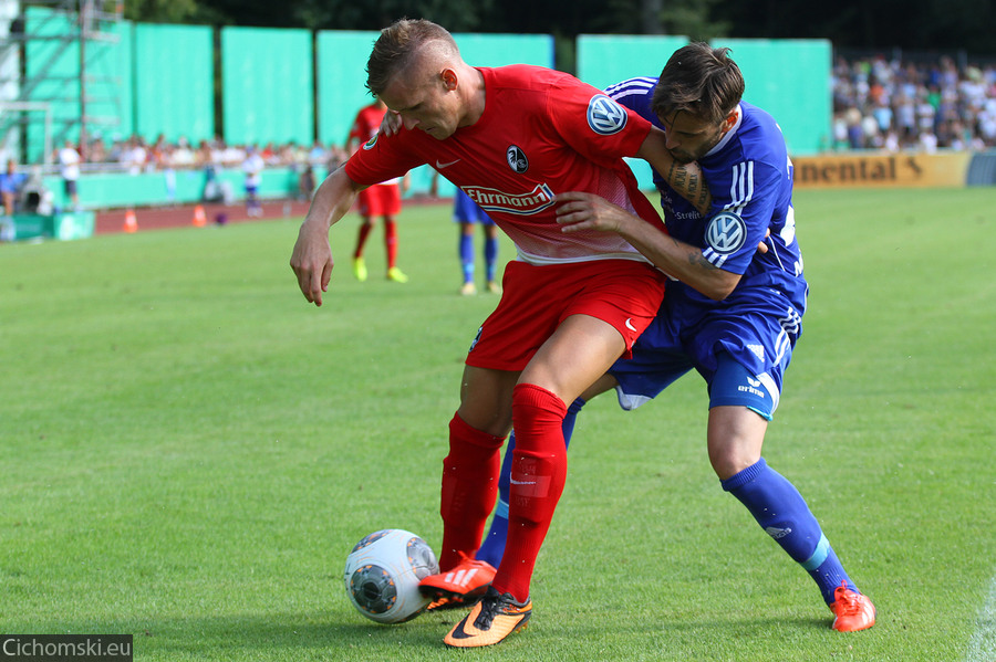 20130803_tsg-freiburg_54