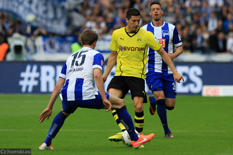 2014.05.10_hertha-borussia_16